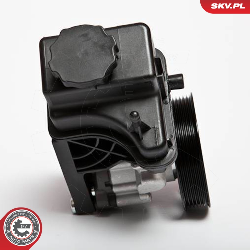Ilustracja 10SKV107 ESEN SKV pompa hydrauliczna, układ kierowniczy