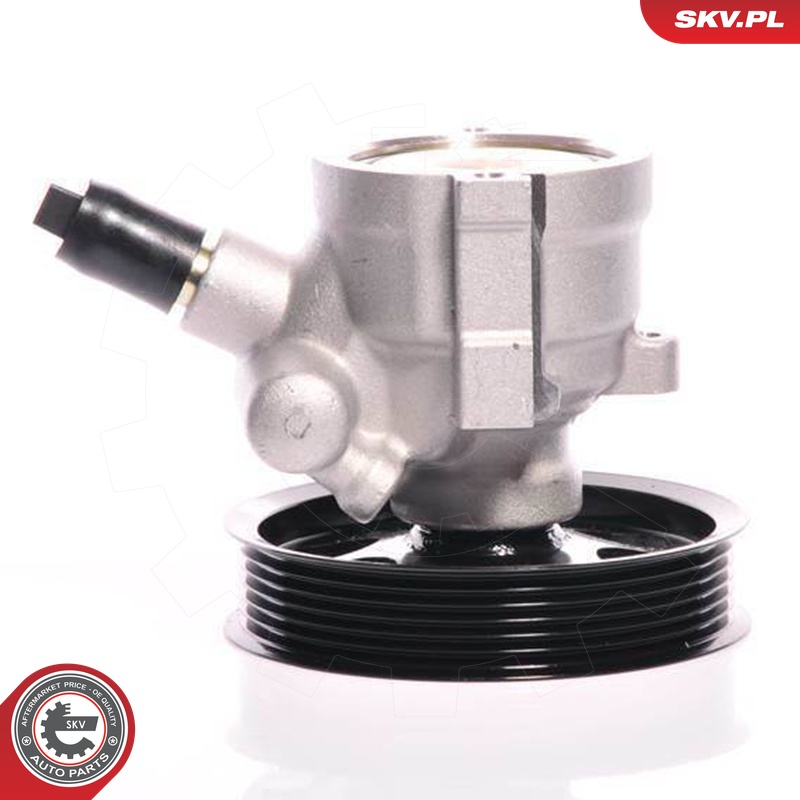 Ilustracja 10SKV108 ESEN SKV pompa hydrauliczna, układ kierowniczy