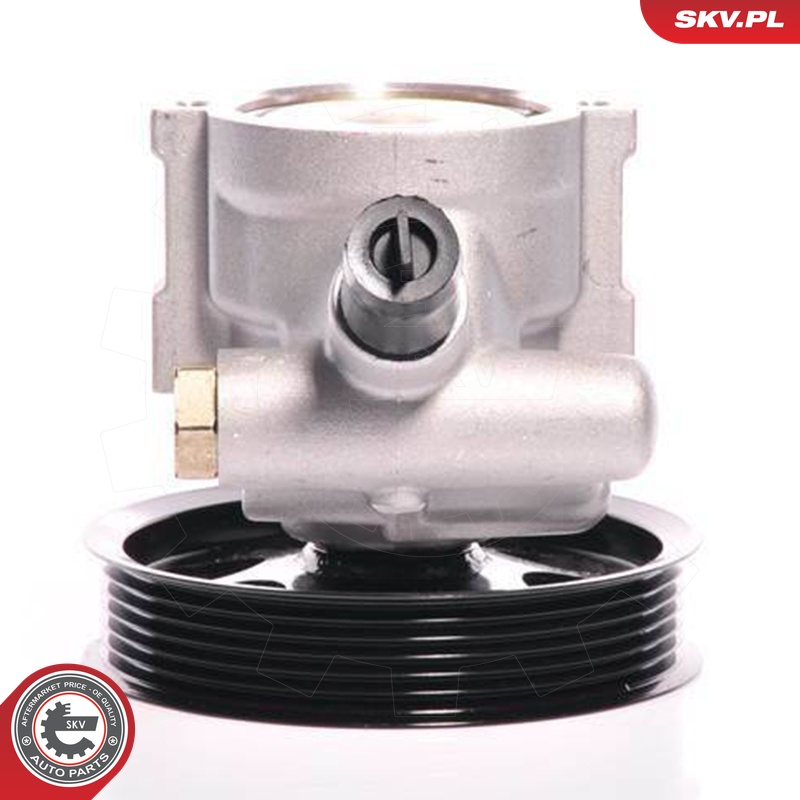 Ilustracja 10SKV108 ESEN SKV pompa hydrauliczna, układ kierowniczy