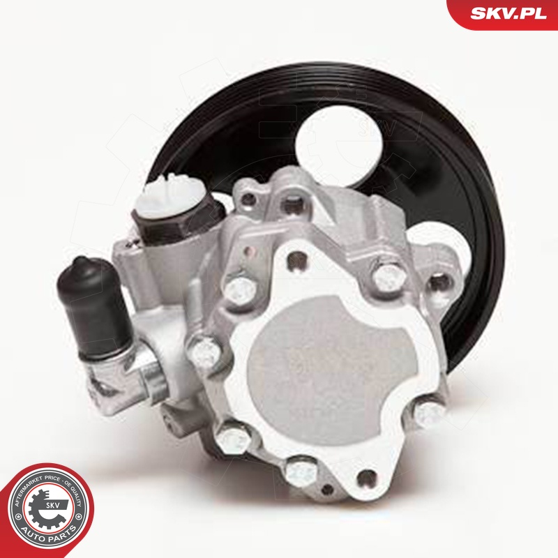 Ilustracja 10SKV100 ESEN SKV pompa hydrauliczna, układ kierowniczy