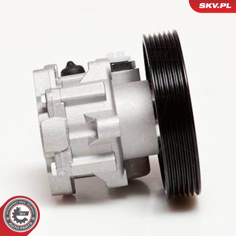 Ilustracja 10SKV100 ESEN SKV pompa hydrauliczna, układ kierowniczy