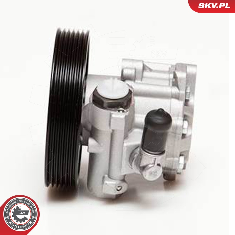 Ilustracja 10SKV100 ESEN SKV pompa hydrauliczna, układ kierowniczy