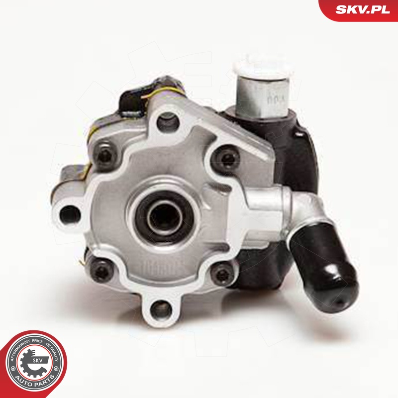 Ilustracja 10SKV116 ESEN SKV pompa hydrauliczna, układ kierowniczy