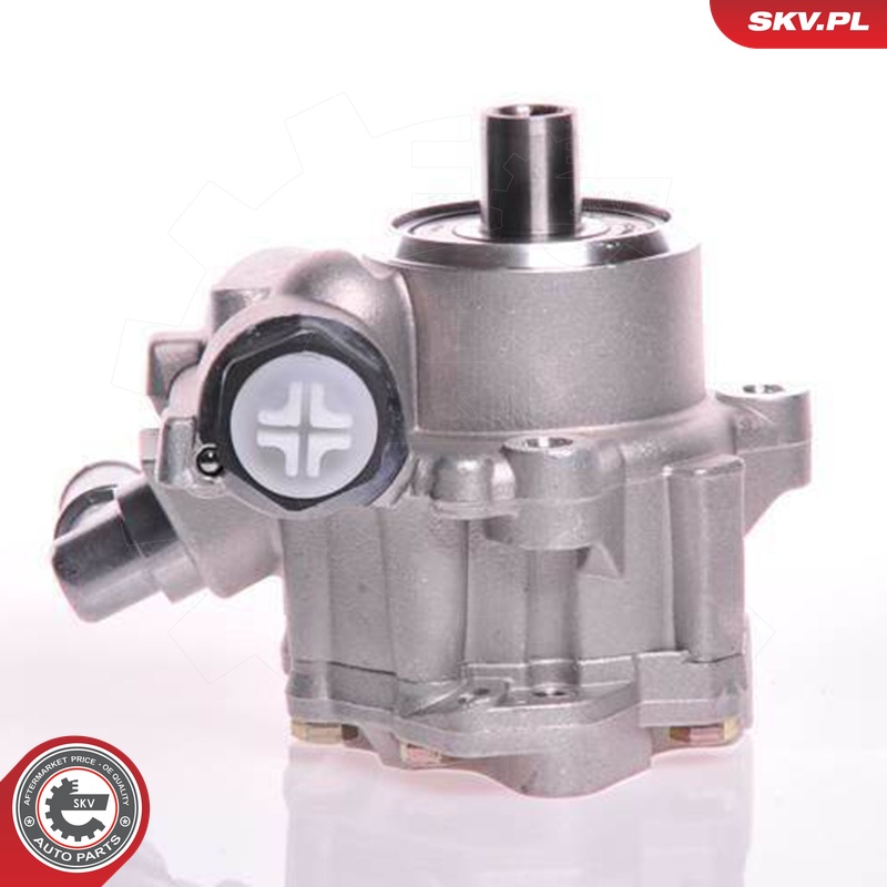 Ilustracja 10SKV117 ESEN SKV pompa hydrauliczna, układ kierowniczy