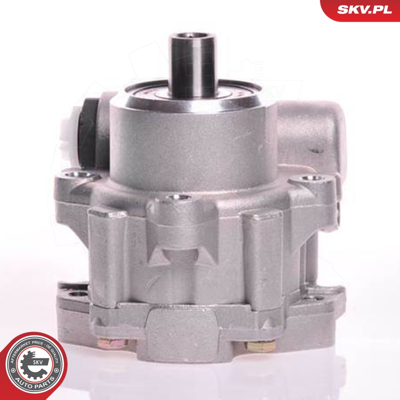 Ilustracja 10SKV117 ESEN SKV pompa hydrauliczna, układ kierowniczy