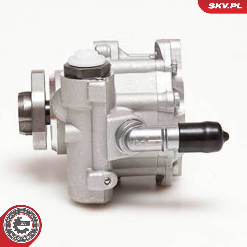 Ilustracja 10SKV110 ESEN SKV pompa hydrauliczna, układ kierowniczy