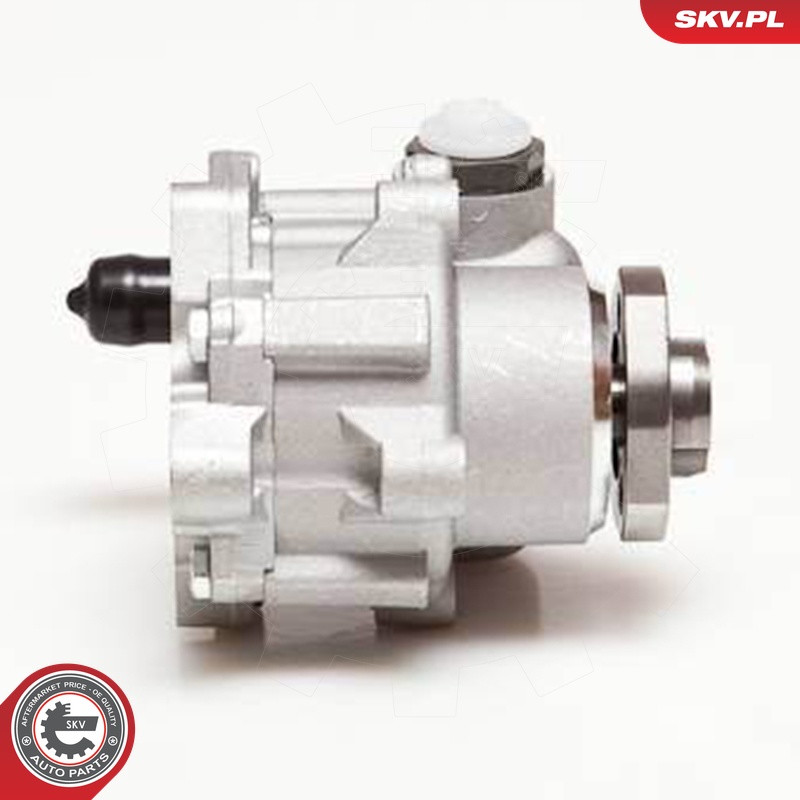 Ilustracja 10SKV110 ESEN SKV pompa hydrauliczna, układ kierowniczy