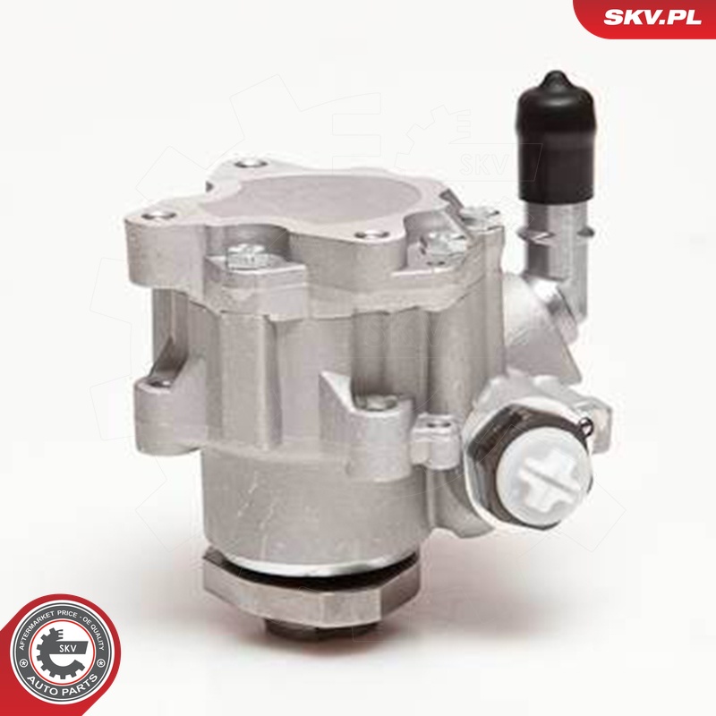 Ilustracja 10SKV110 ESEN SKV pompa hydrauliczna, układ kierowniczy