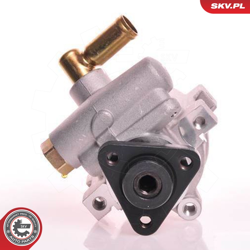 Ilustracja 10SKV120 ESEN SKV pompa hydrauliczna, układ kierowniczy