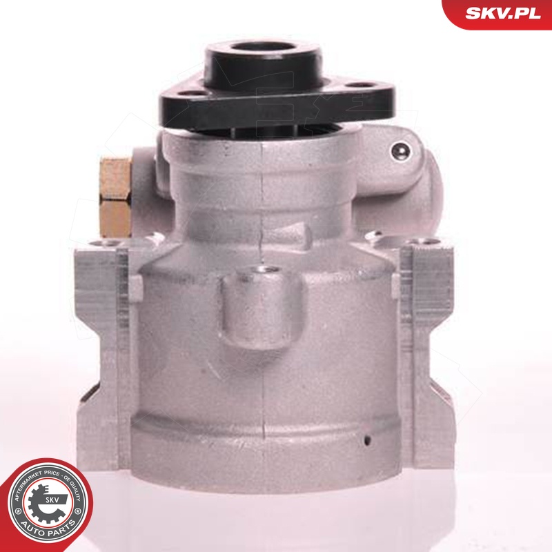 Ilustracja 10SKV120 ESEN SKV pompa hydrauliczna, układ kierowniczy