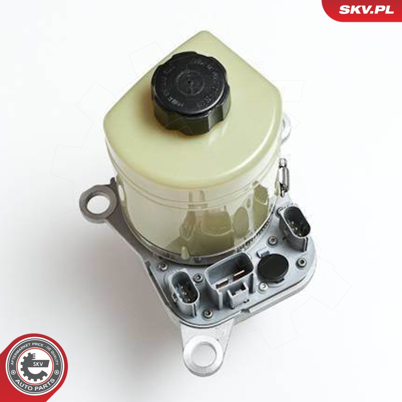 Ilustracja 10SKV135 ESEN SKV pompa hydrauliczna, układ kierowniczy