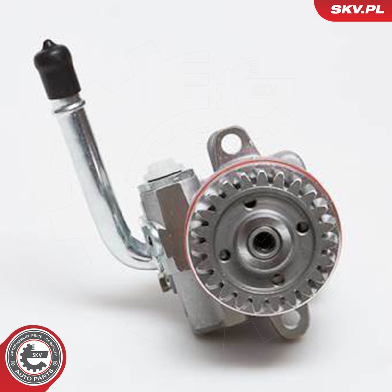 Ilustracja 10SKV136 ESEN SKV pompa hydrauliczna, układ kierowniczy