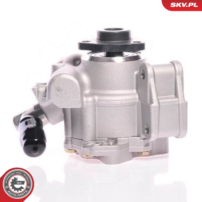Ilustracja 10SKV148 ESEN SKV pompa hydrauliczna, układ kierowniczy