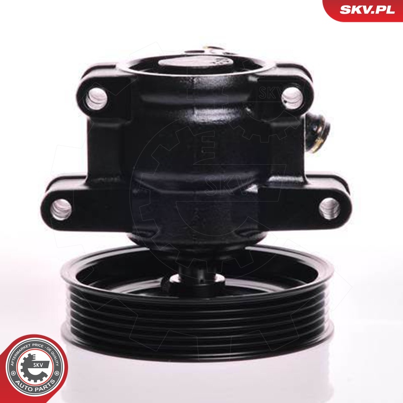 Ilustracja 10SKV150 ESEN SKV pompa hydrauliczna, układ kierowniczy