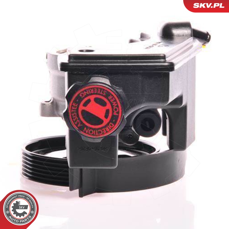 Ilustracja 10SKV153 ESEN SKV pompa hydrauliczna, układ kierowniczy