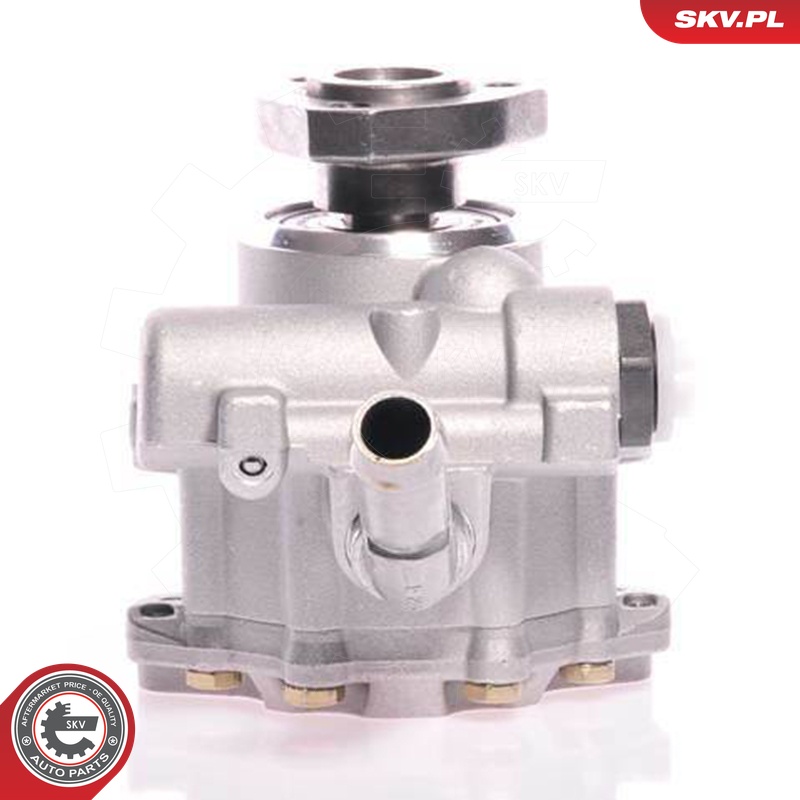 Ilustracja 10SKV165 ESEN SKV pompa hydrauliczna, układ kierowniczy
