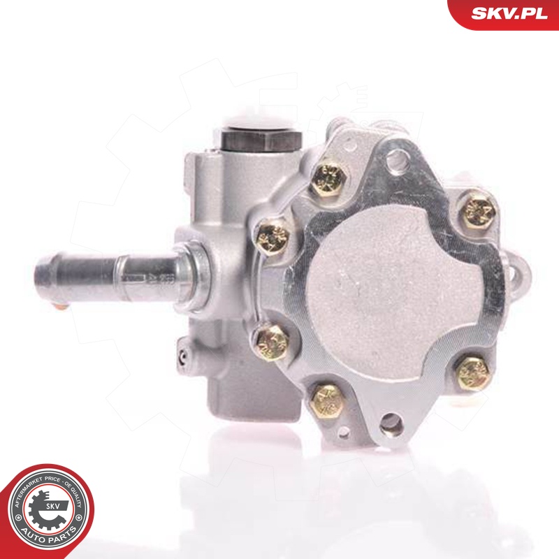 Ilustracja 10SKV165 ESEN SKV pompa hydrauliczna, układ kierowniczy