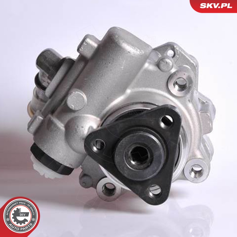 Ilustracja 10SKV167 ESEN SKV pompa hydrauliczna, układ kierowniczy