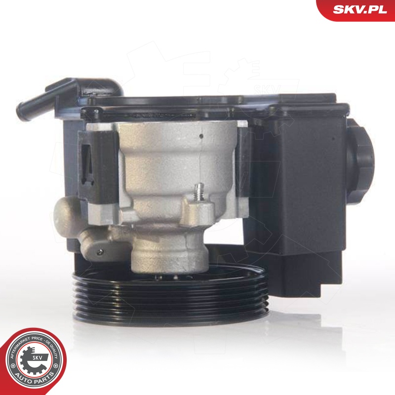 Ilustracja 10SKV171 ESEN SKV pompa hydrauliczna, układ kierowniczy