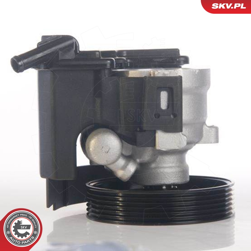 Ilustracja 10SKV171 ESEN SKV pompa hydrauliczna, układ kierowniczy