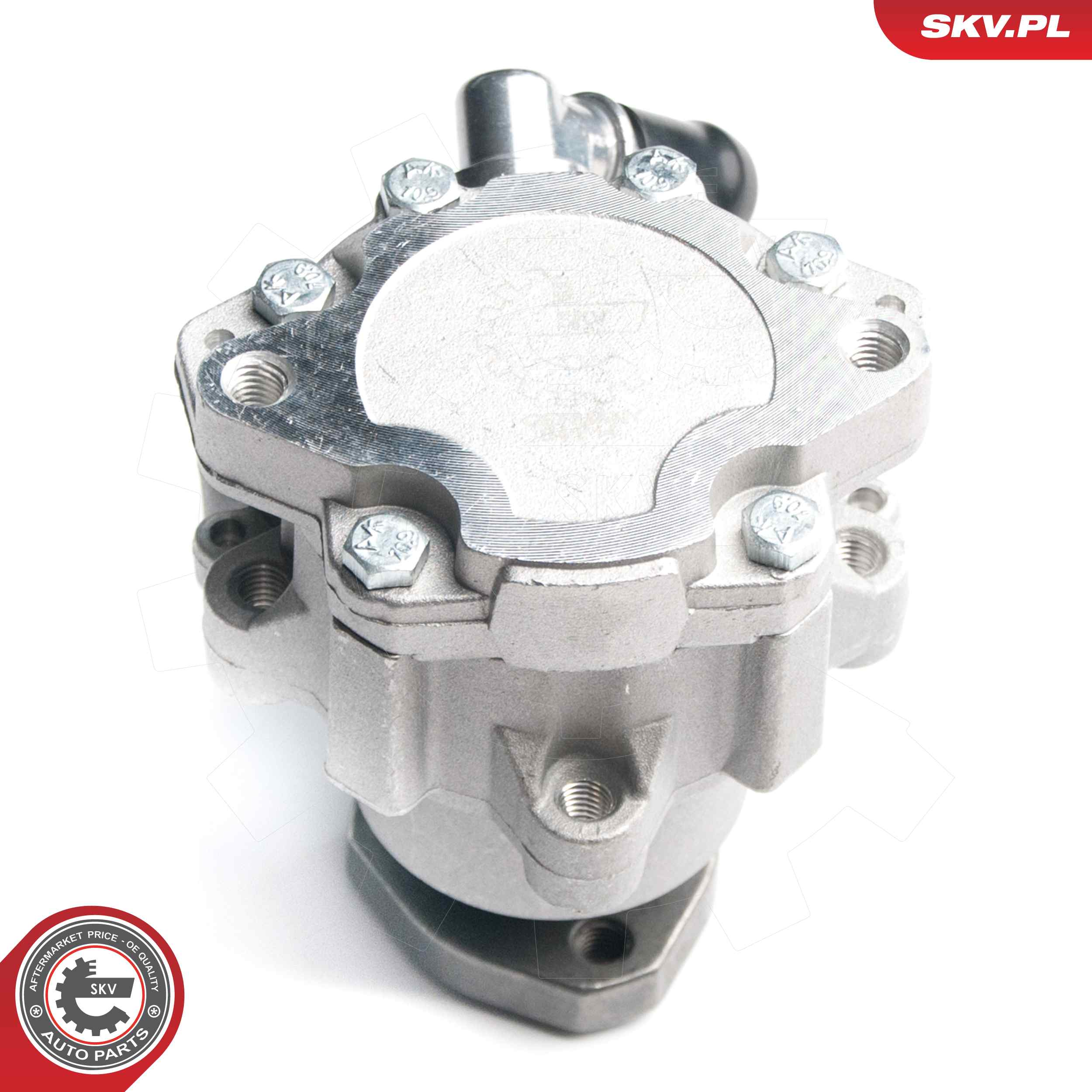 Ilustracja 10SKV173 ESEN SKV pompa hydrauliczna, układ kierowniczy