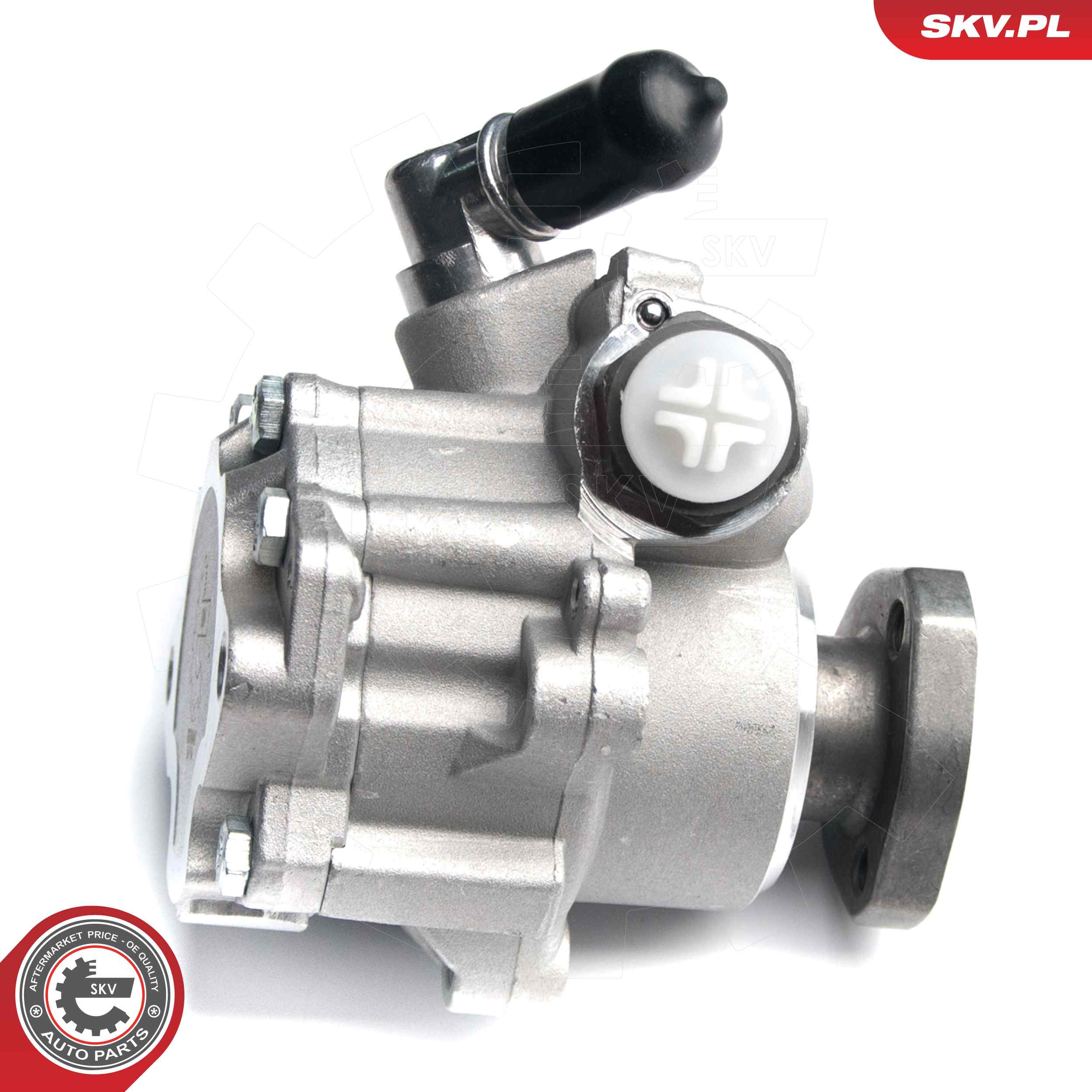 Ilustracja 10SKV173 ESEN SKV pompa hydrauliczna, układ kierowniczy
