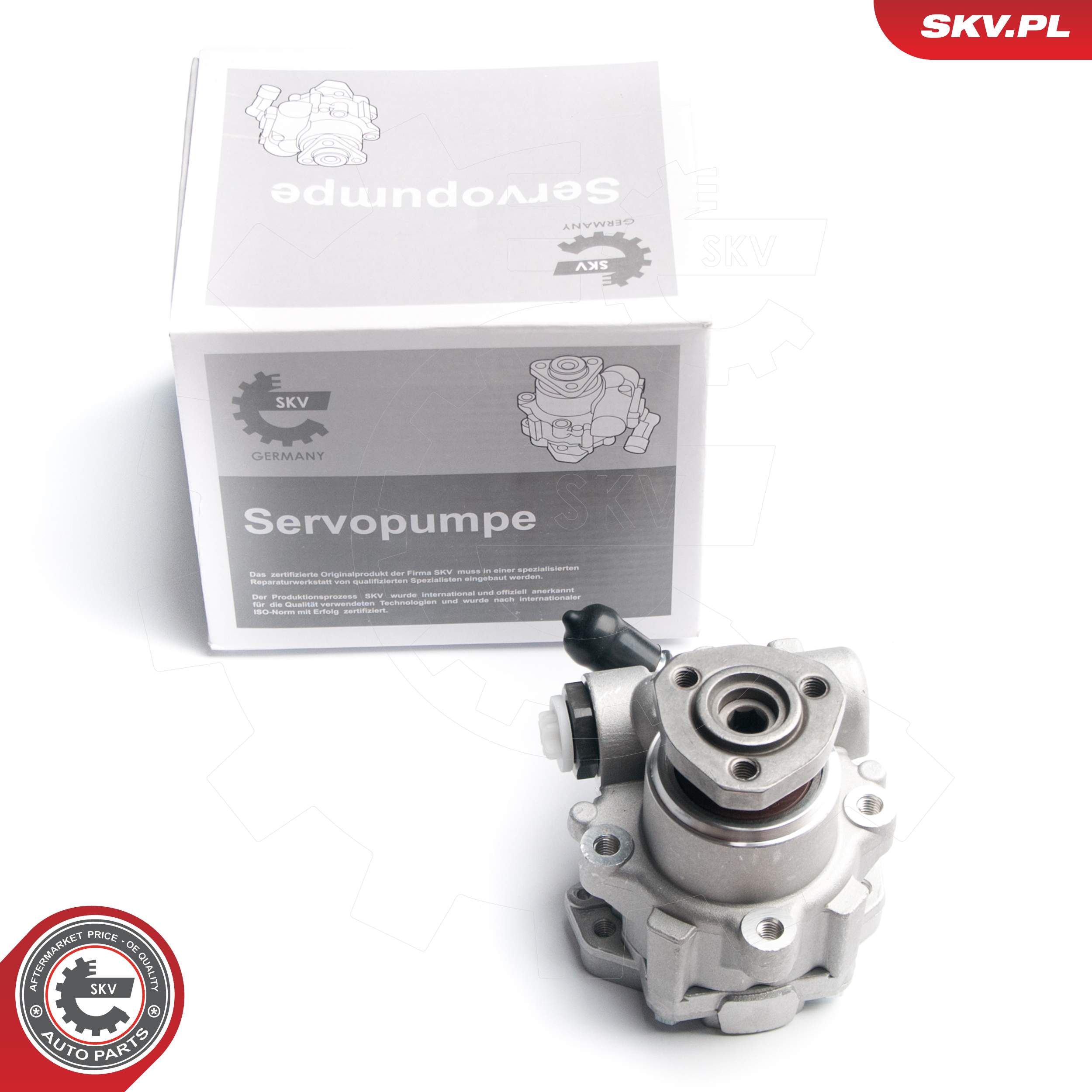 Ilustracja 10SKV173 ESEN SKV pompa hydrauliczna, układ kierowniczy