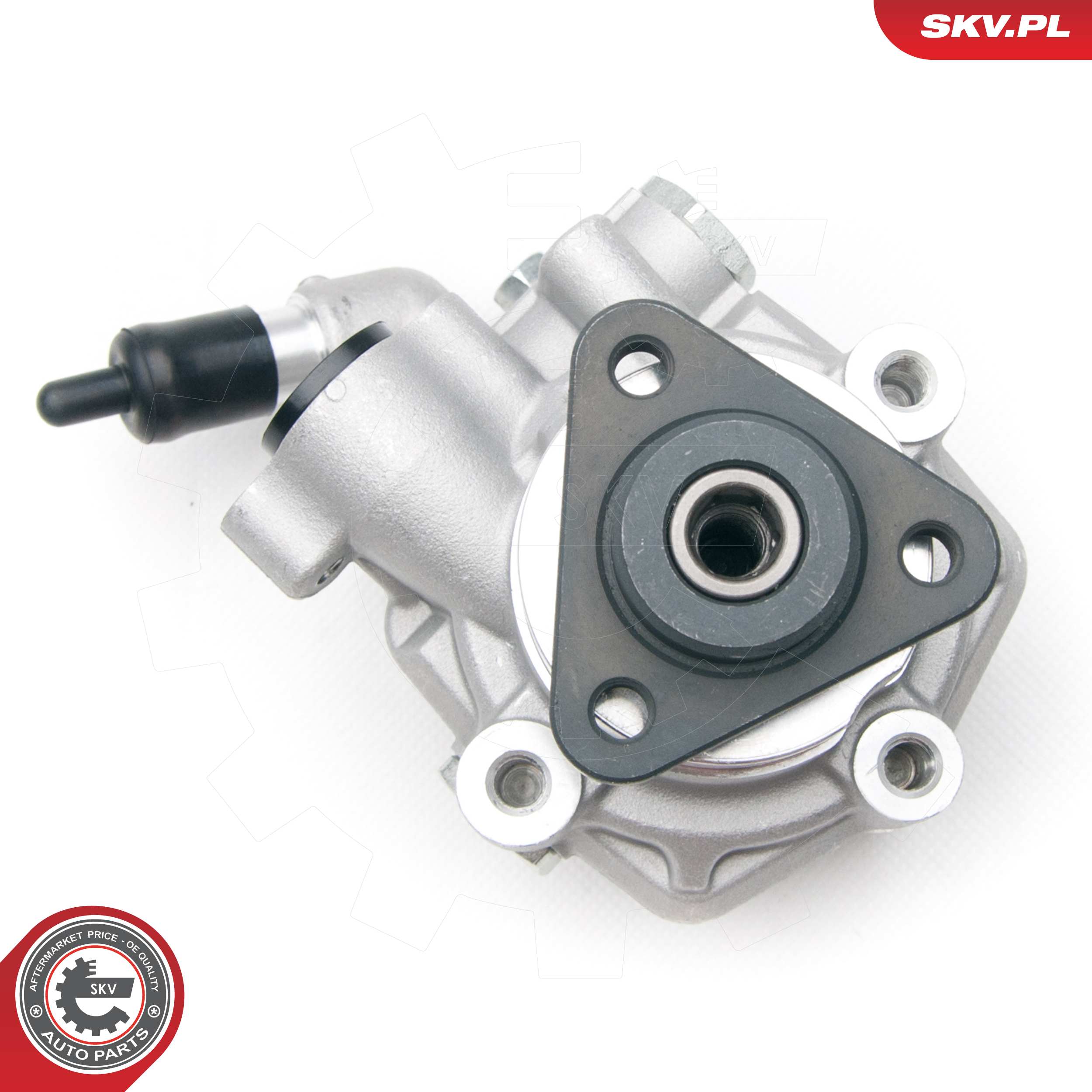Ilustracja 10SKV194 ESEN SKV pompa hydrauliczna, układ kierowniczy