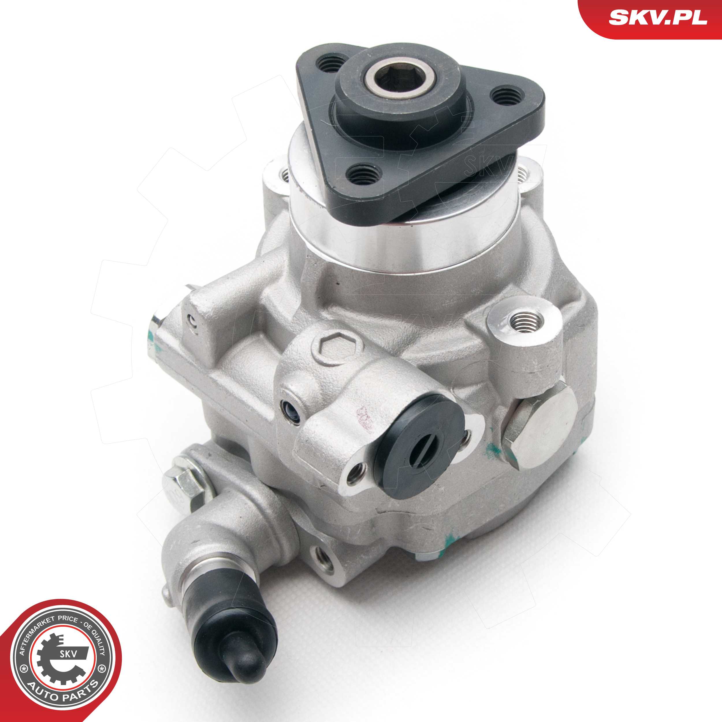 Ilustracja 10SKV193 ESEN SKV pompa hydrauliczna, układ kierowniczy