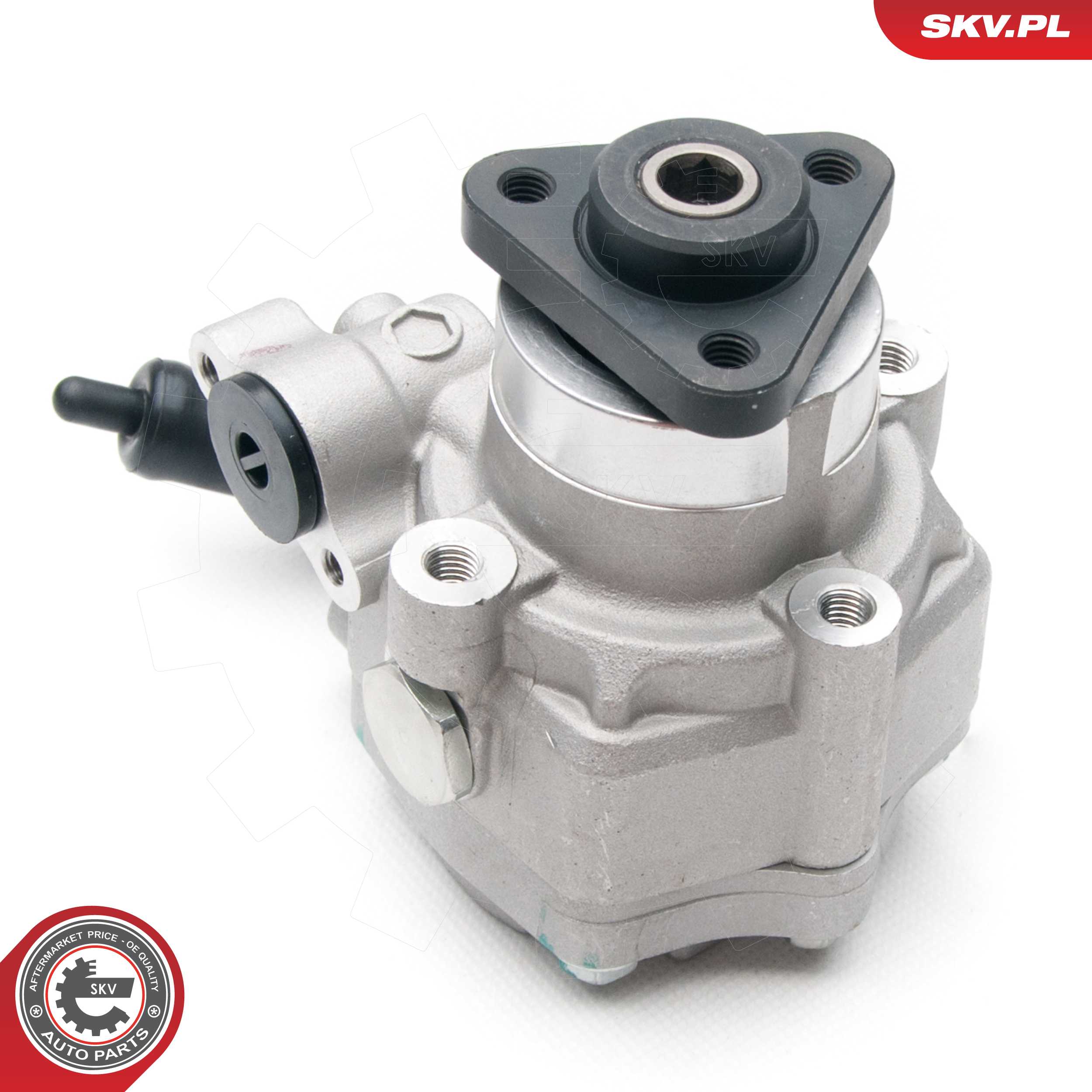 Ilustracja 10SKV193 ESEN SKV pompa hydrauliczna, układ kierowniczy