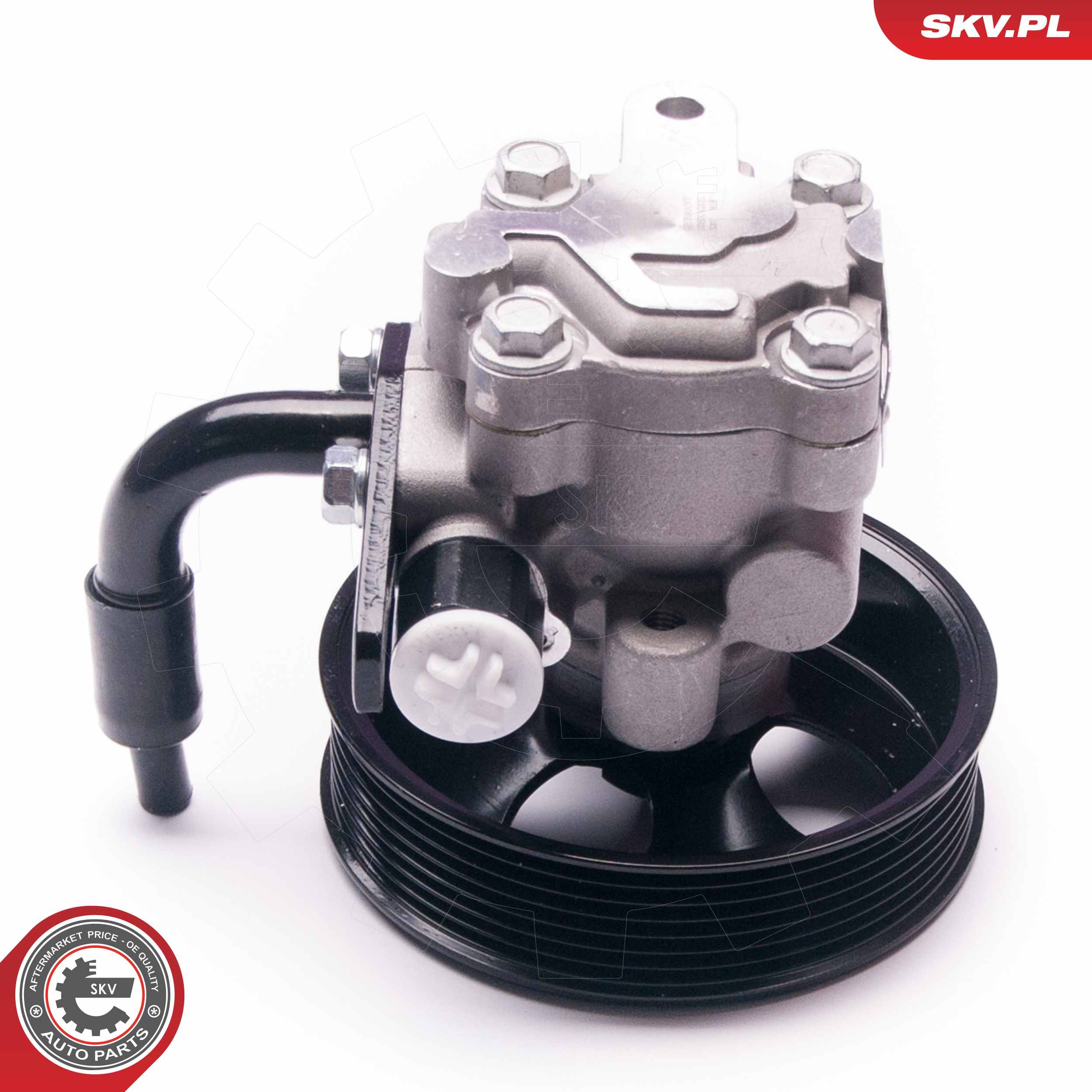 Ilustracja 10SKV201 ESEN SKV pompa hydrauliczna, układ kierowniczy