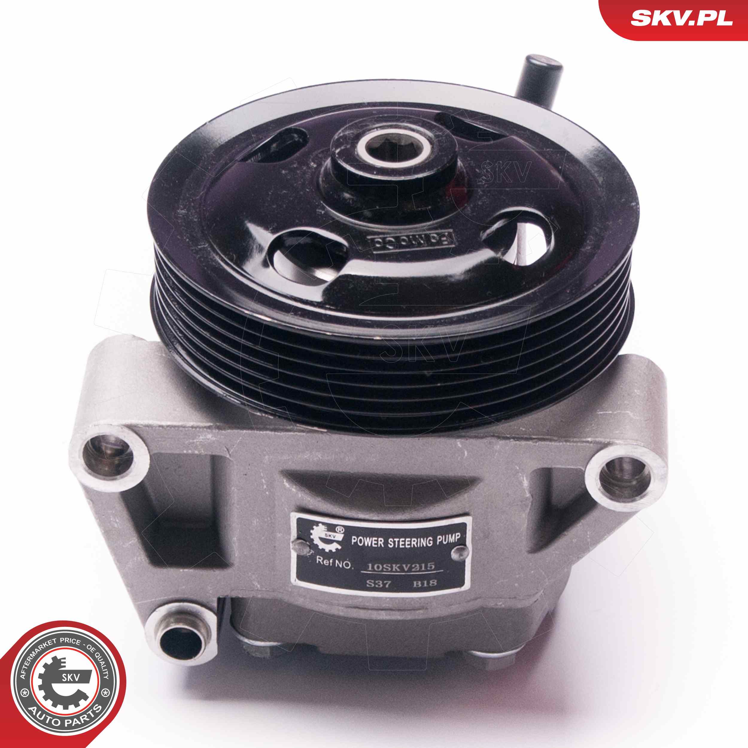 Ilustracja 10SKV215 ESEN SKV pompa hydrauliczna, układ kierowniczy