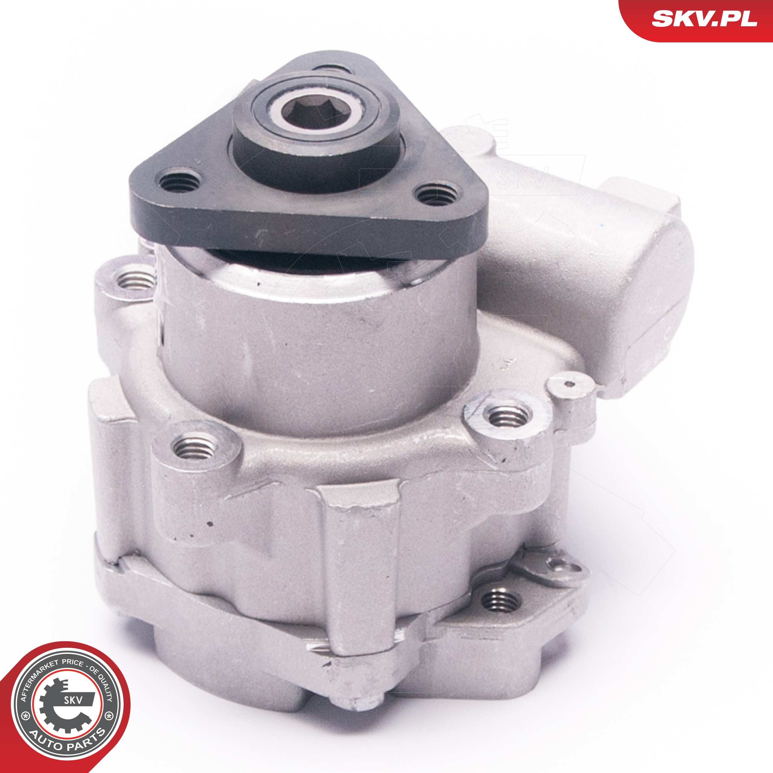 Ilustracja 10SKV221 ESEN SKV pompa hydrauliczna, układ kierowniczy