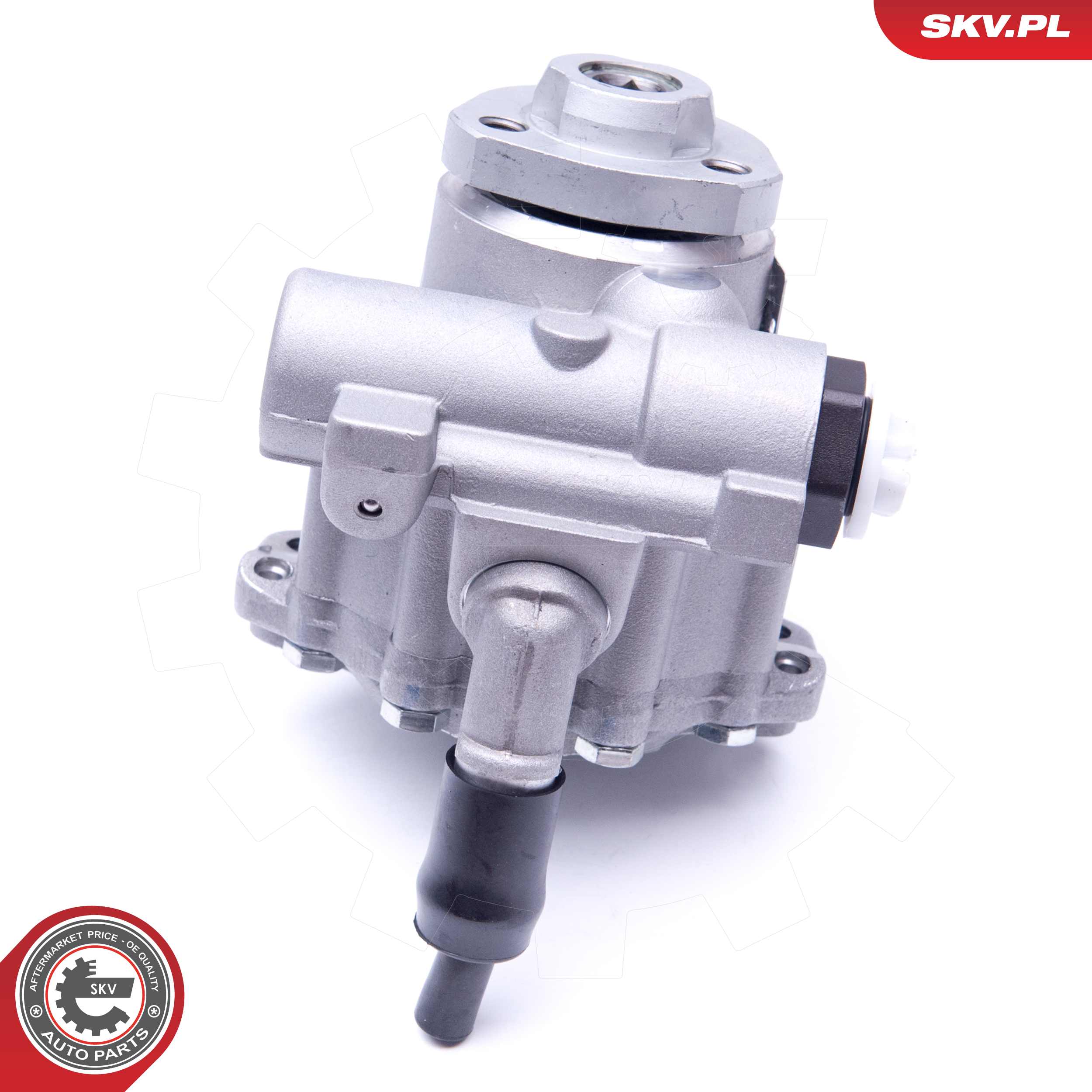 Ilustracja 10SKV256 ESEN SKV pompa hydrauliczna, układ kierowniczy