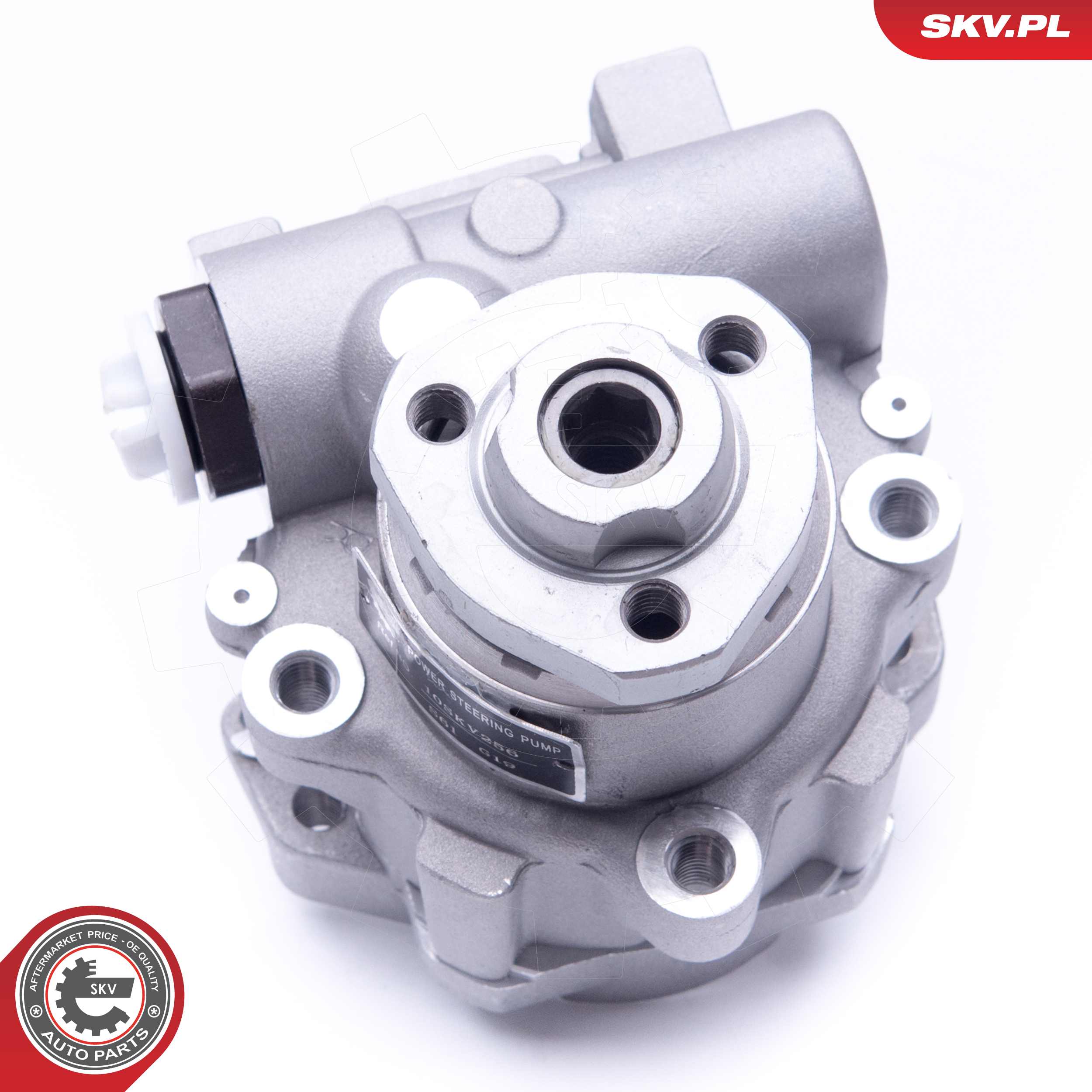 Ilustracja 10SKV256 ESEN SKV pompa hydrauliczna, układ kierowniczy
