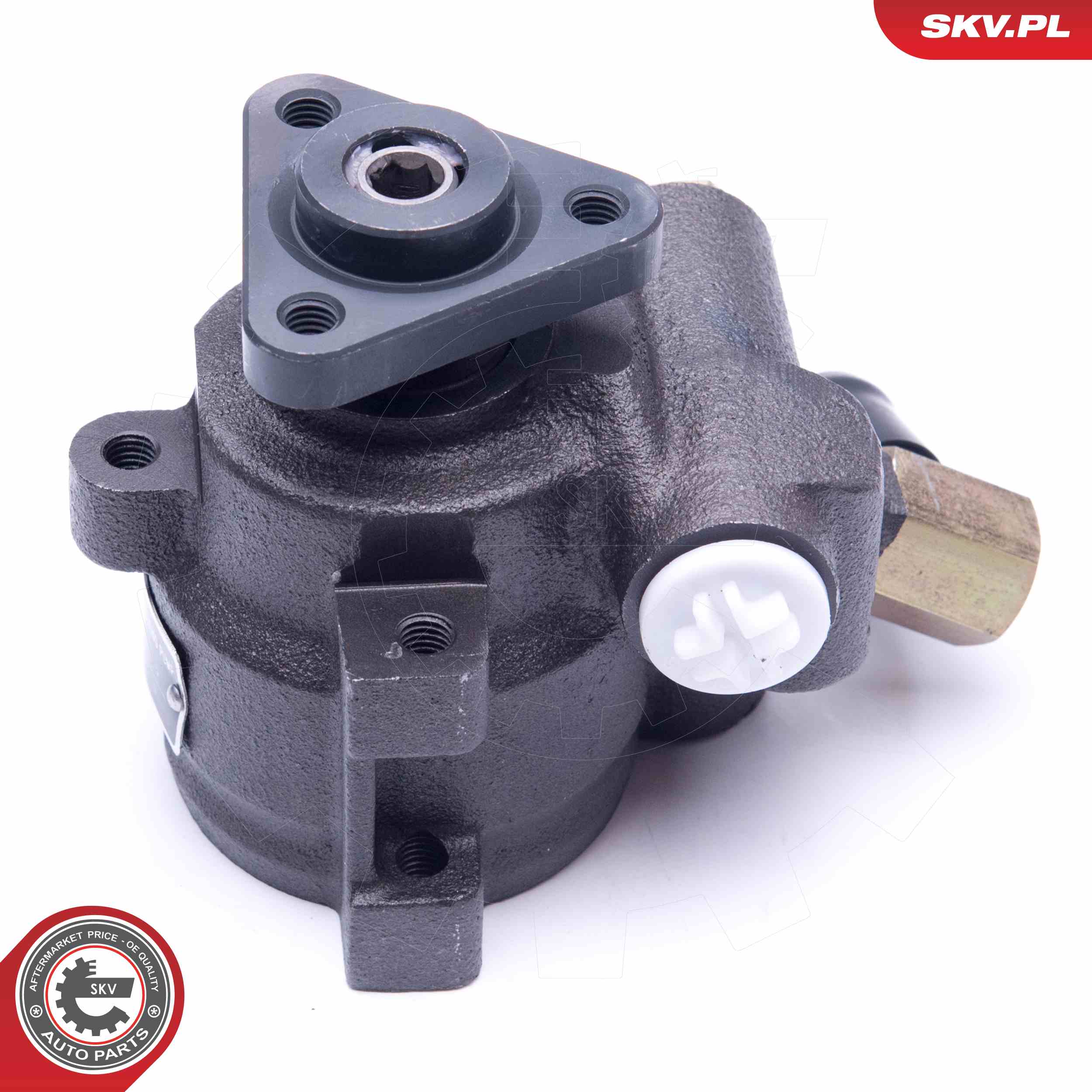 Ilustracja 10SKV259 ESEN SKV pompa hydrauliczna, układ kierowniczy