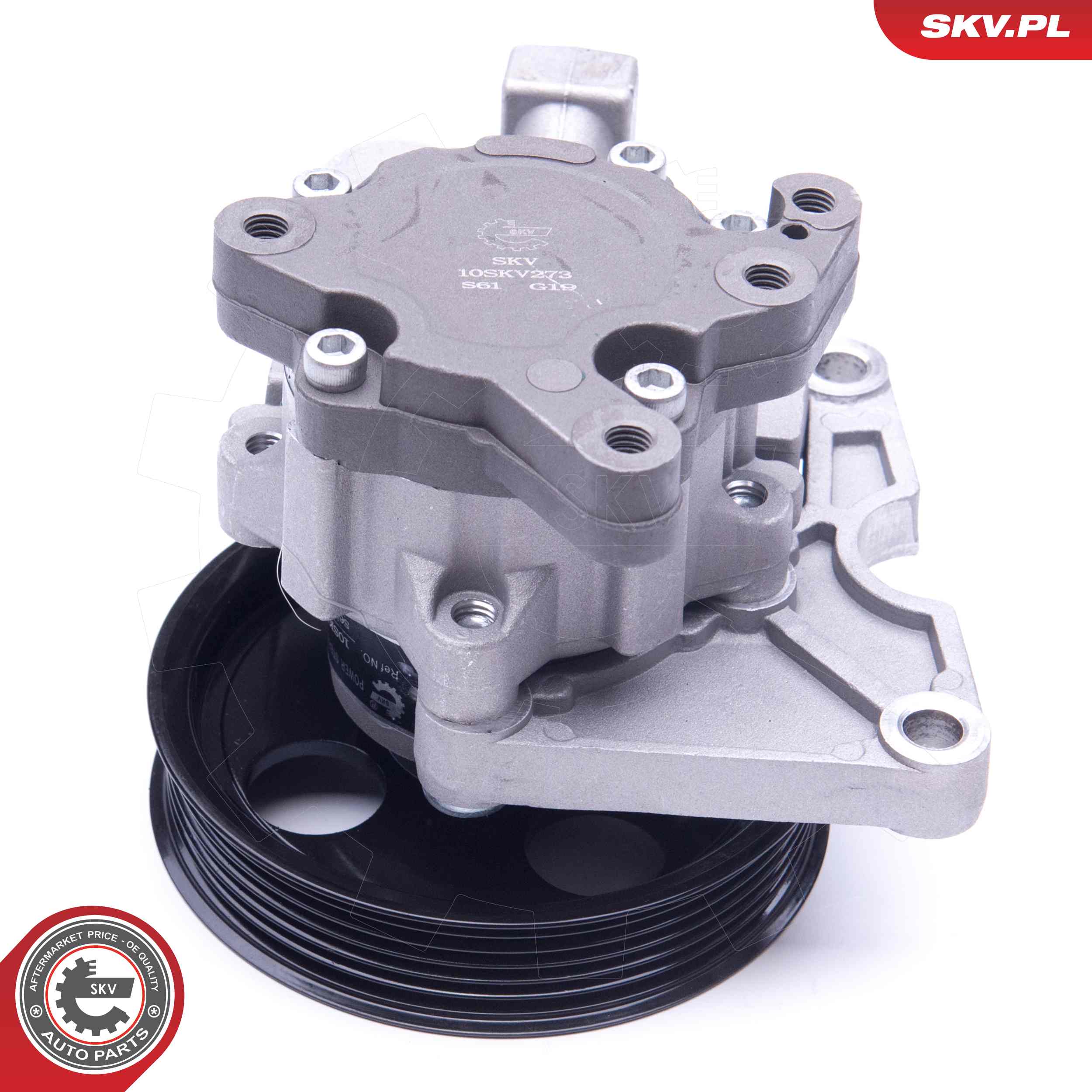 Ilustracja 10SKV273 ESEN SKV pompa hydrauliczna, układ kierowniczy
