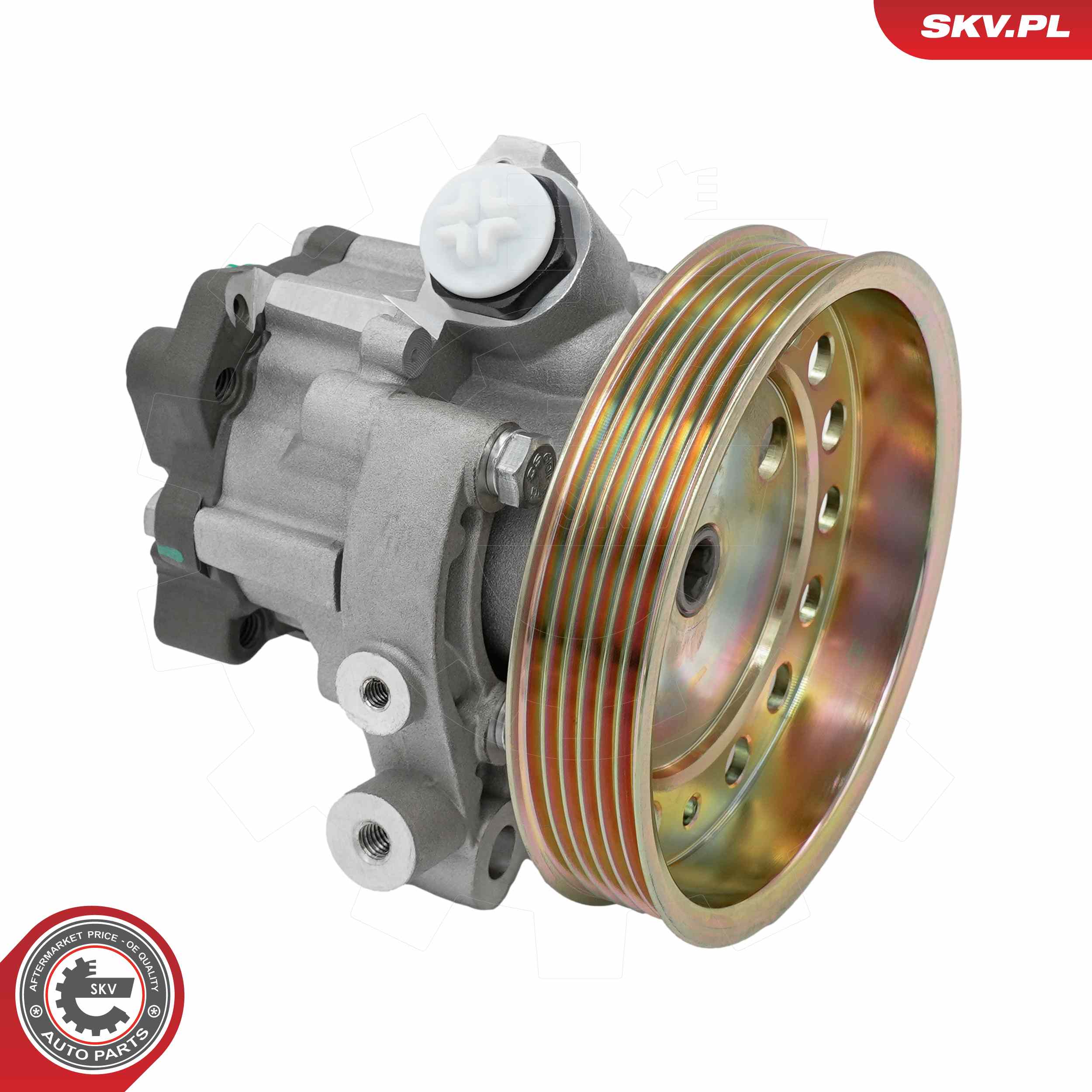 Ilustracja 10SKV317 ESEN SKV pompa hydrauliczna, układ kierowniczy