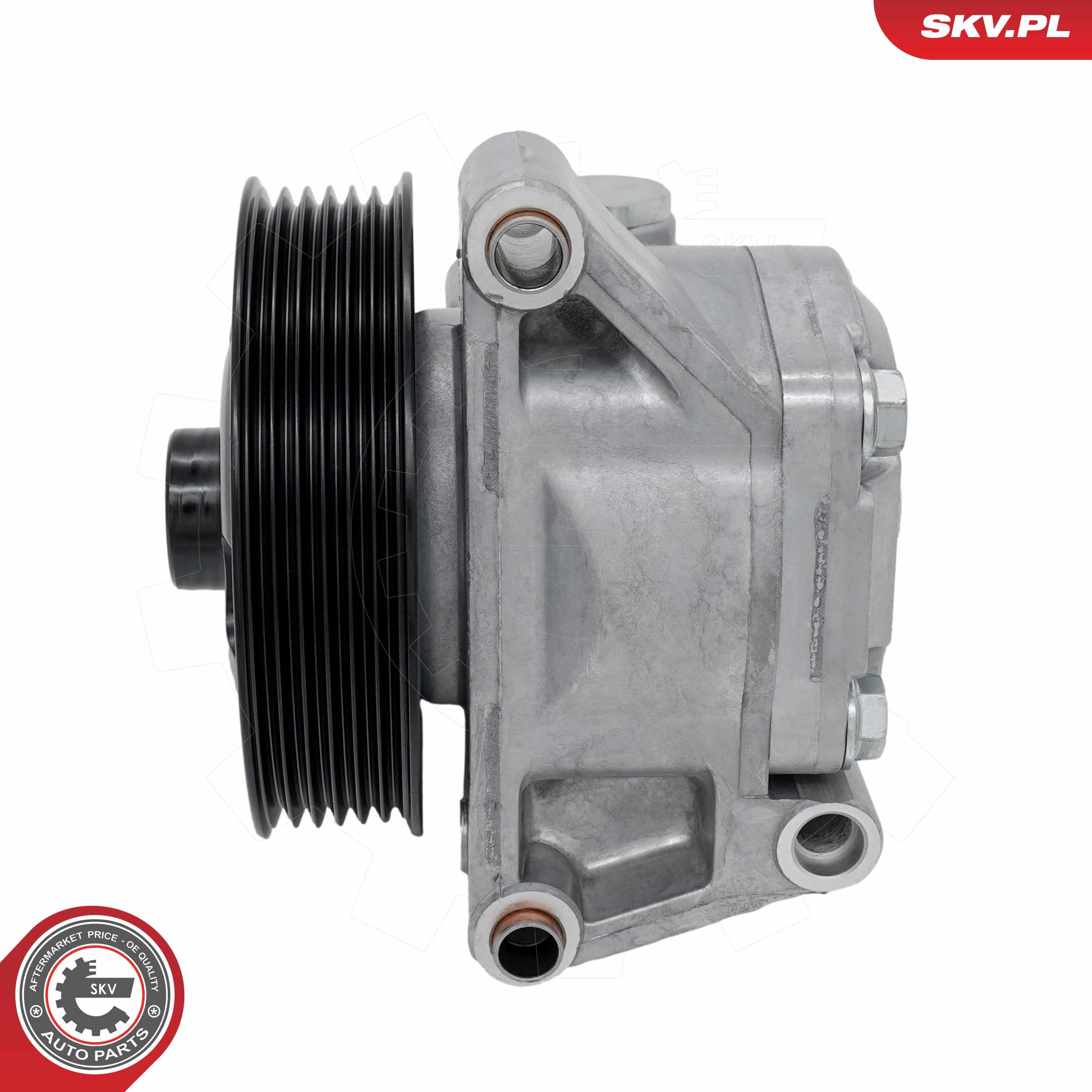 Ilustracja 10SKV445 ESEN SKV pompa hydrauliczna, układ kierowniczy