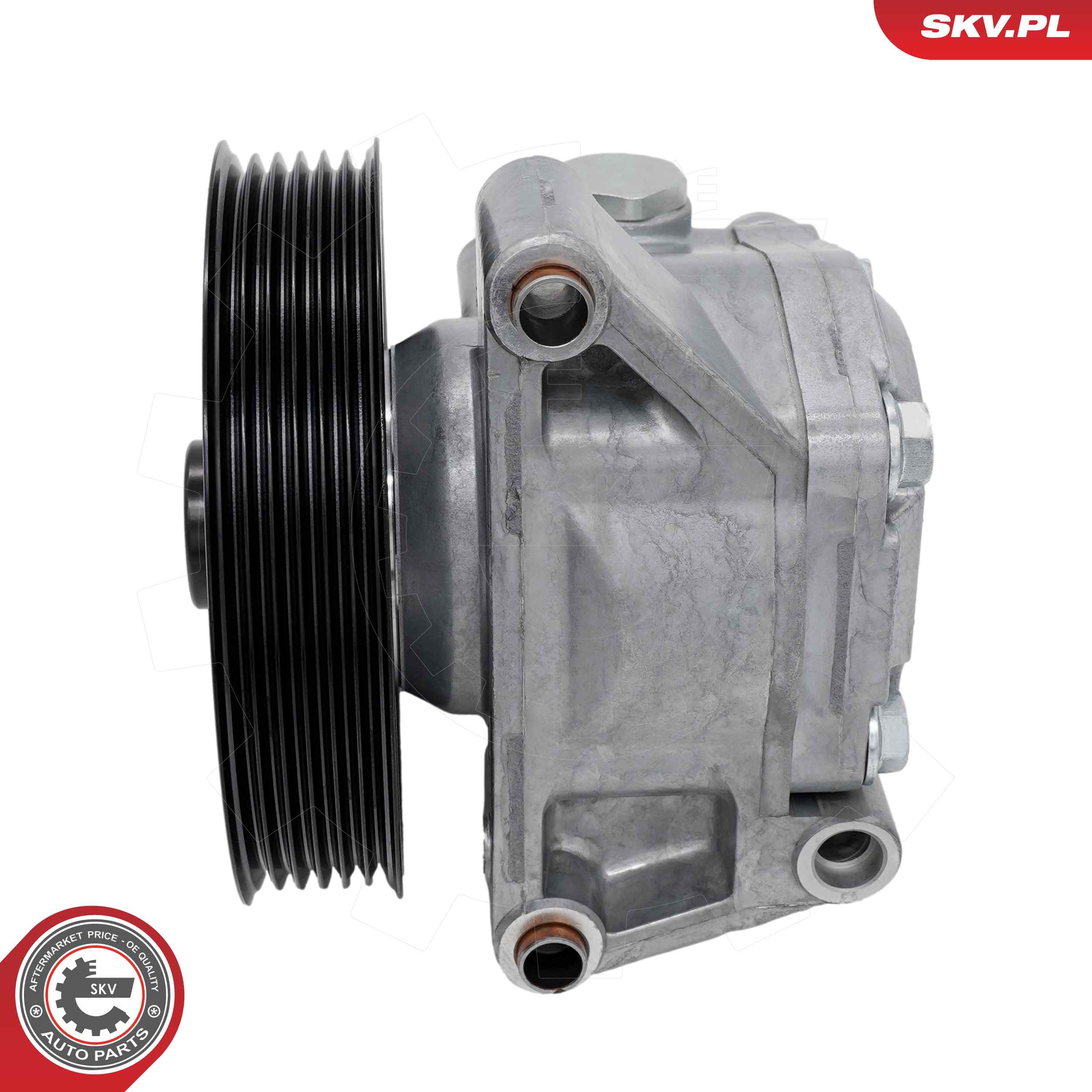 Ilustracja 10SKV489 ESEN SKV pompa hydrauliczna, układ kierowniczy