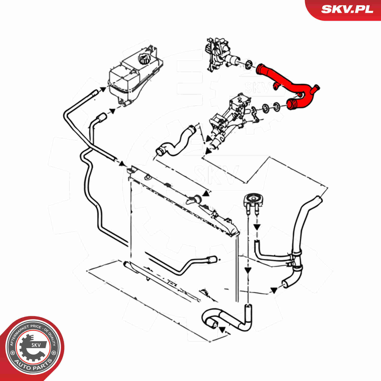 Ilustracja 43SKV784 ESEN SKV rurka płynu chłodzącego