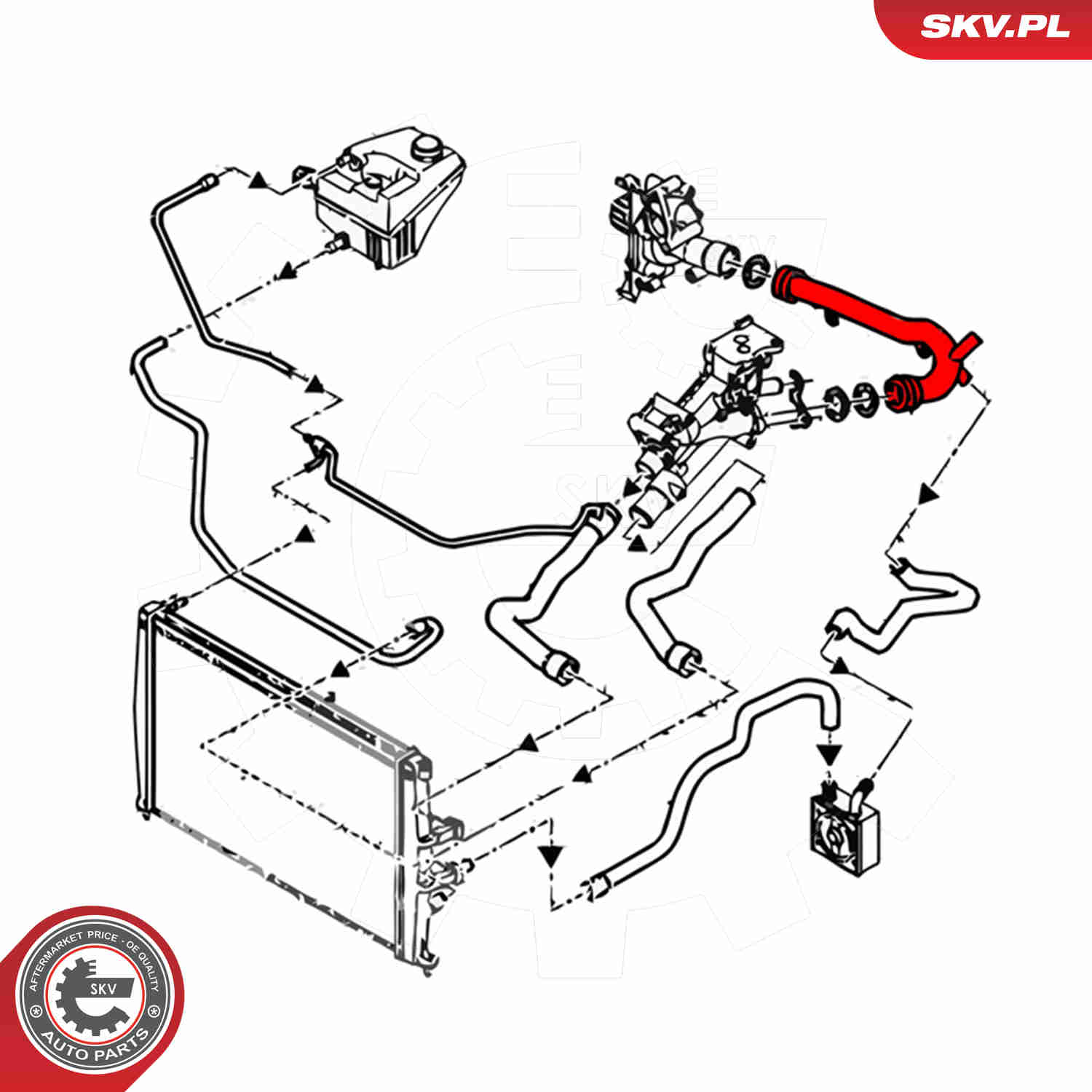 Ilustracja 43SKV785 ESEN SKV rurka płynu chłodzącego