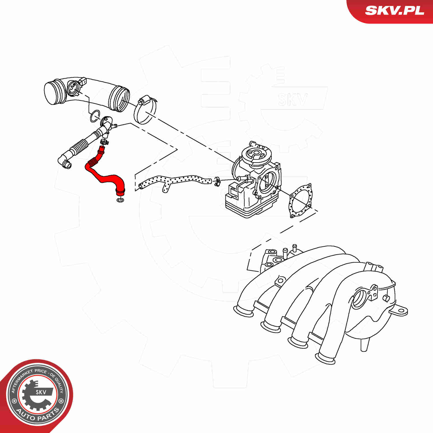Ilustracja 54SKV182 ESEN SKV odma / wentylacja skrzyni korbowej