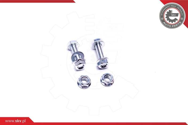 Ilustracja 62SKV004 ESEN SKV katalizator