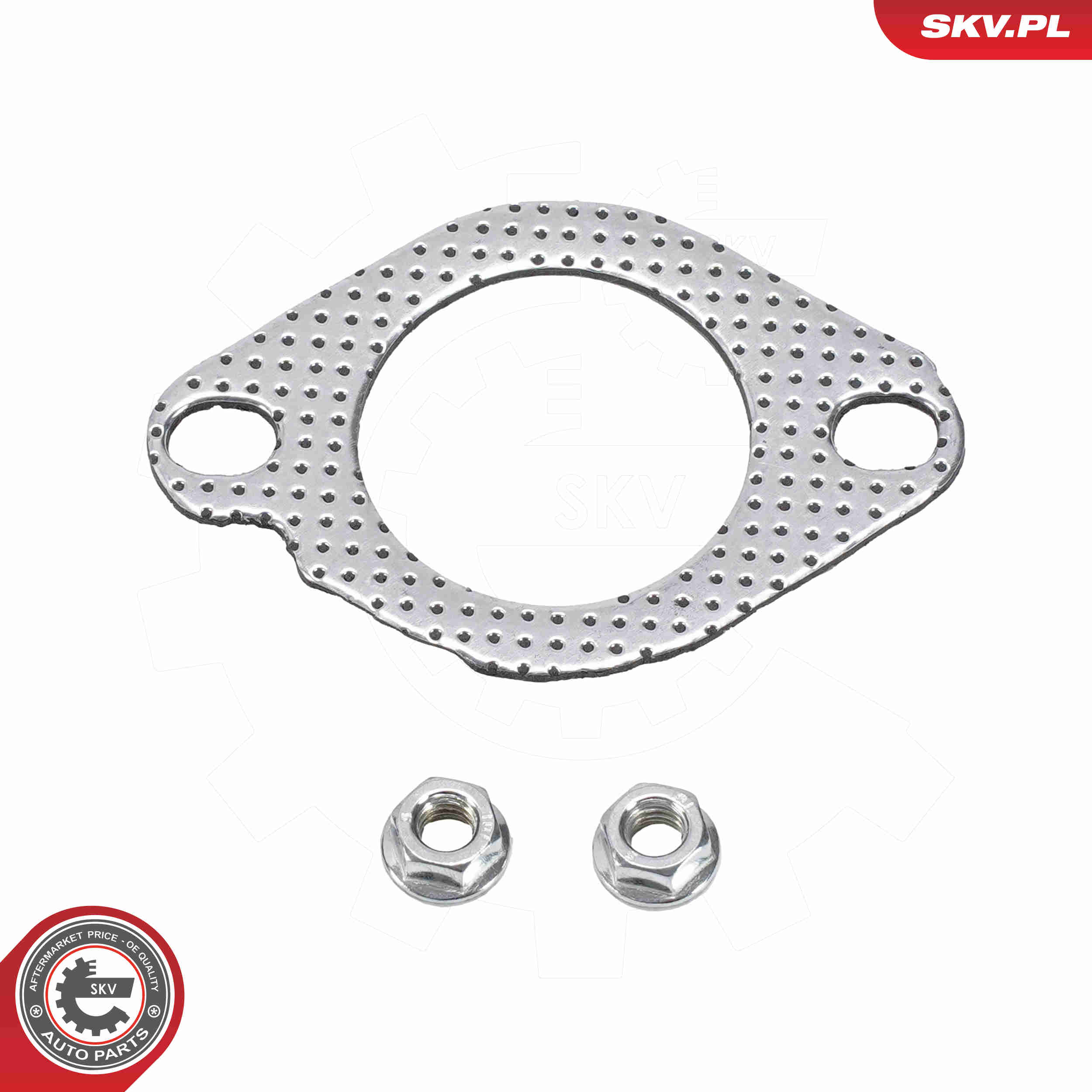 Ilustracja 62SKV558 ESEN SKV filtr sadzy / filtr cząstek stałych, układ wydechowy