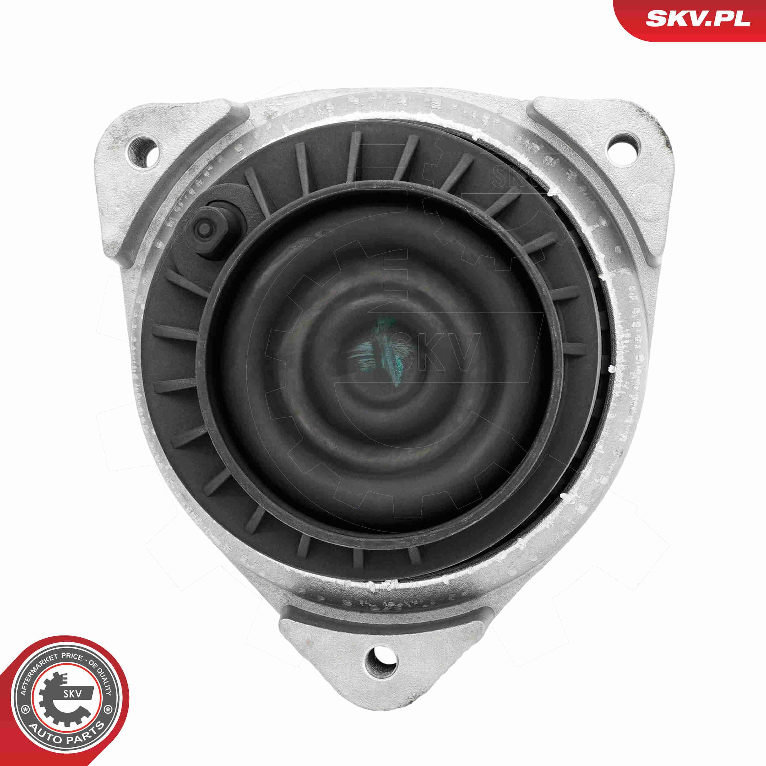 Ilustracja 75SKV131 ESEN SKV poduszka silnika / mocowanie