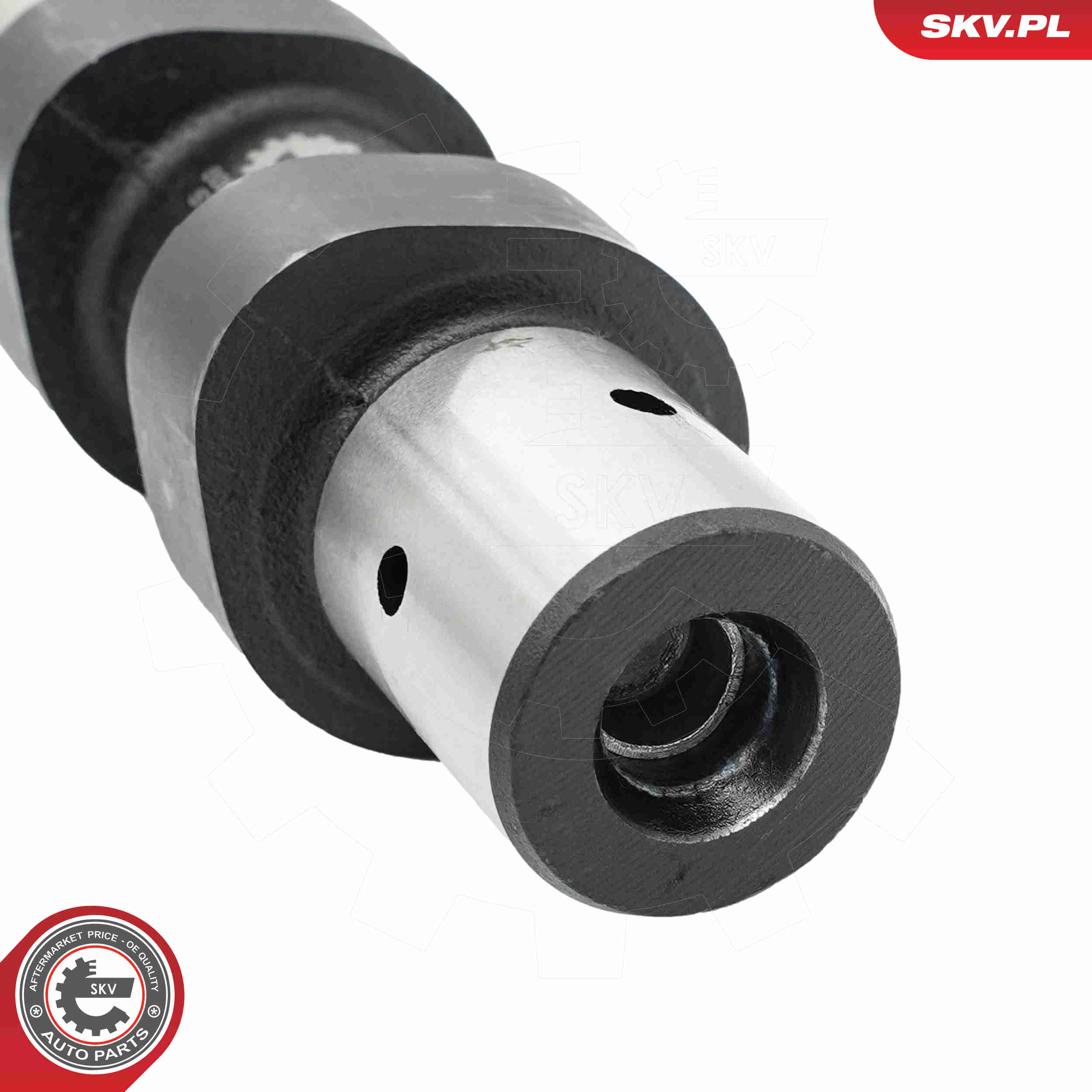 Ilustracja 80SKV015 ESEN SKV wałek rozrządu