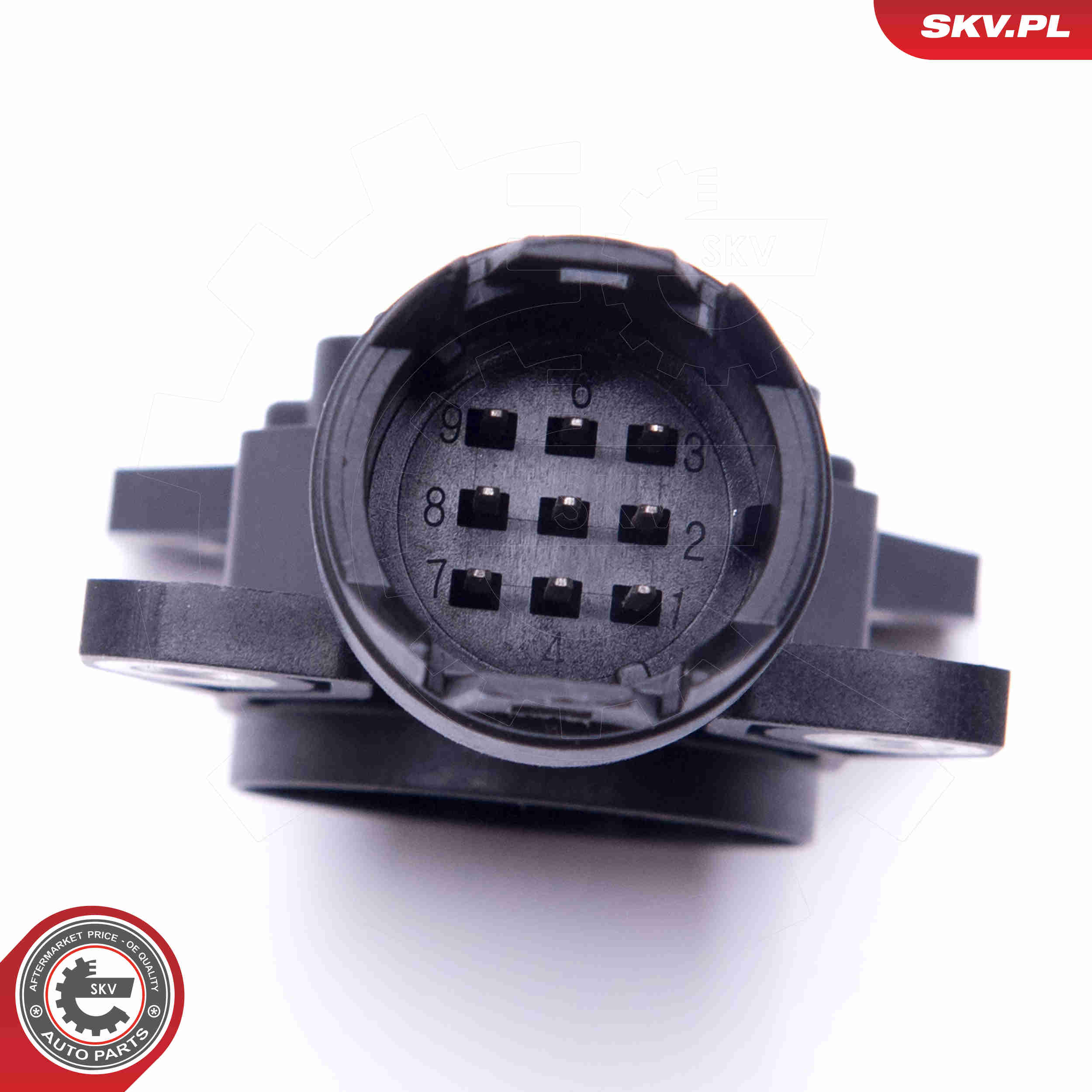 Ilustracja 17SKV469 ESEN SKV czujnik, wałek mimośrodowy (zmienny skok zaworów)