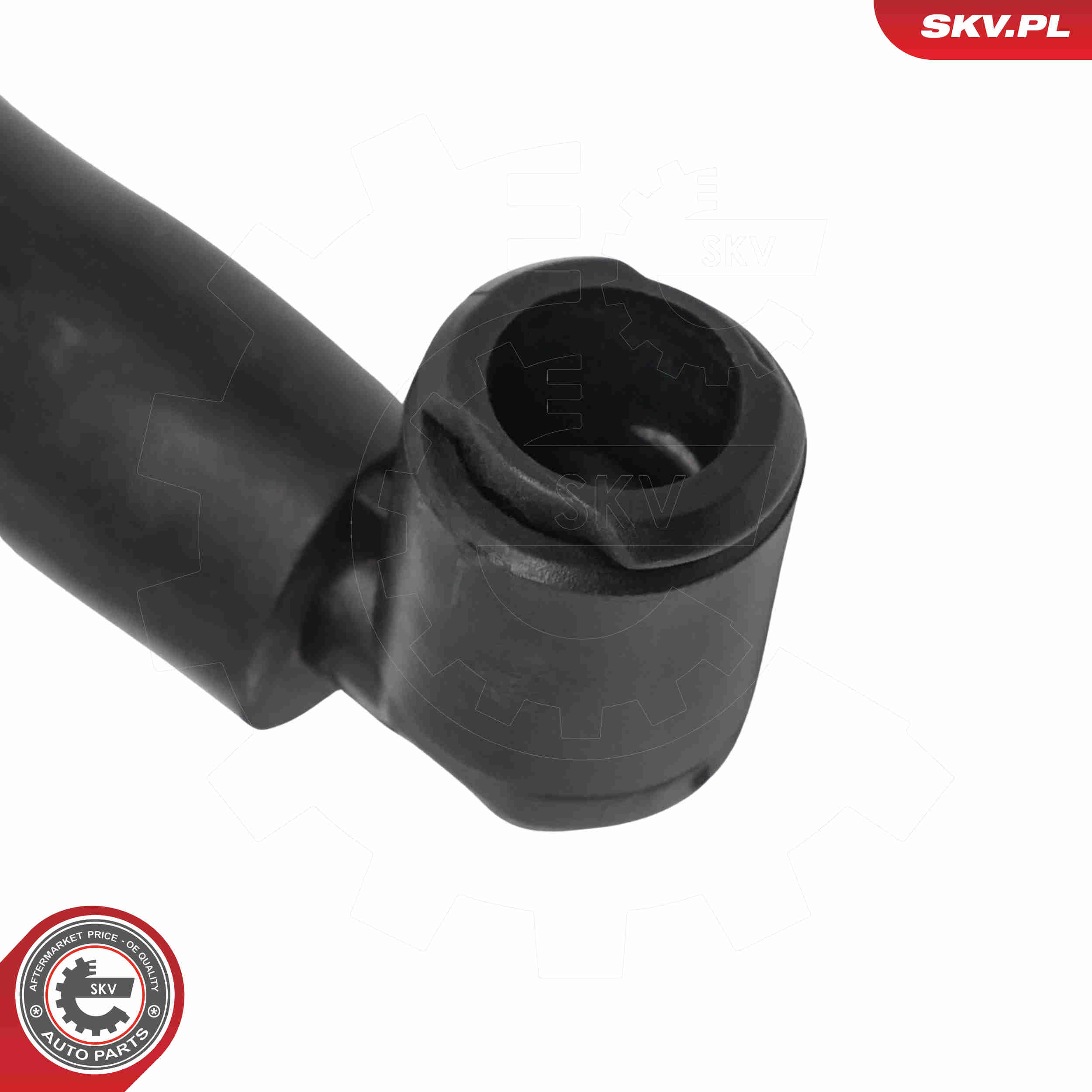 Ilustracja 15SKV242 ESEN SKV dysza spryskiwacza, czyszczenie szyb