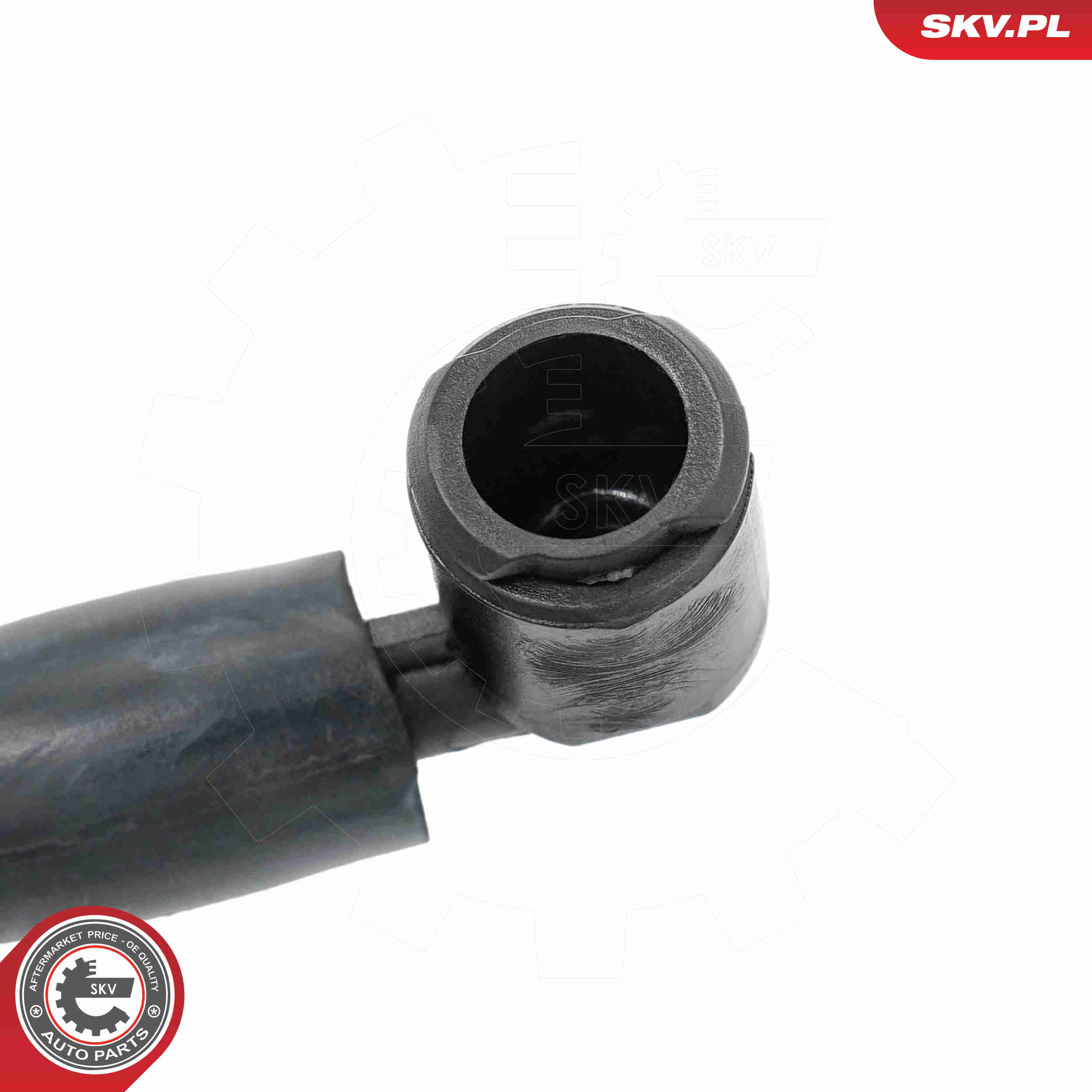 Ilustracja 15SKV259 ESEN SKV dysza spryskiwacza, czyszczenie szyb